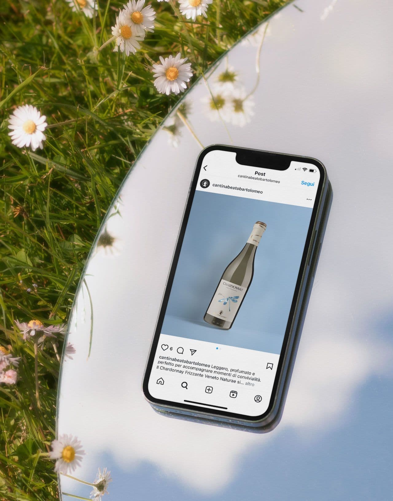 Cantina Beato Bartolomeo Cantina Beato Bartolomeo