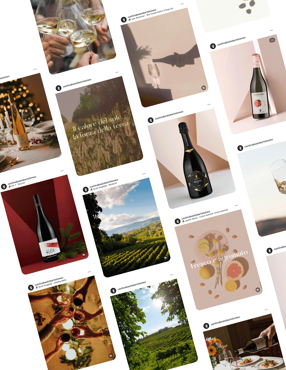 Cantina Beato Bartolomeo Cantina Beato Bartolomeo