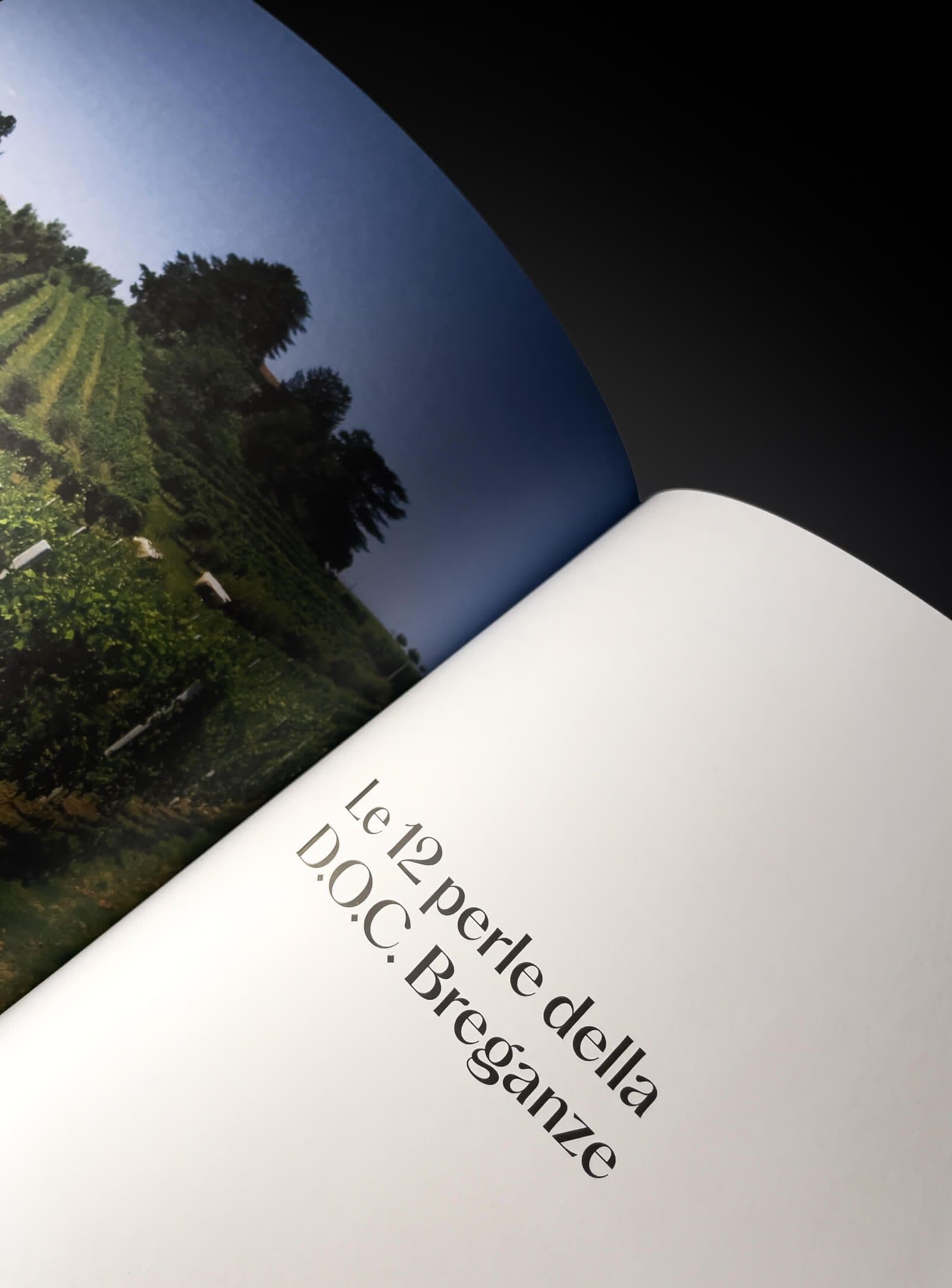 Cantina Beato Bartolomeo Cantina Beato Bartolomeo